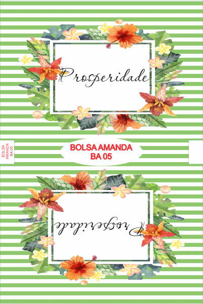 Bolsa Amanda BA 05