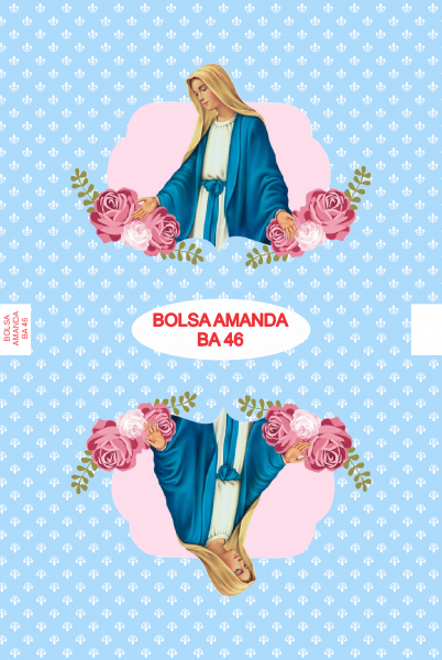 Bolsa Amanda BA 46