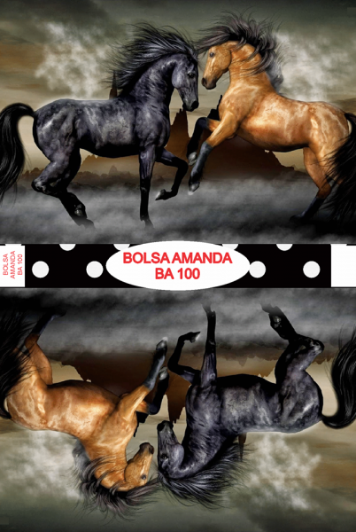 Bolsa Amanda BA 100