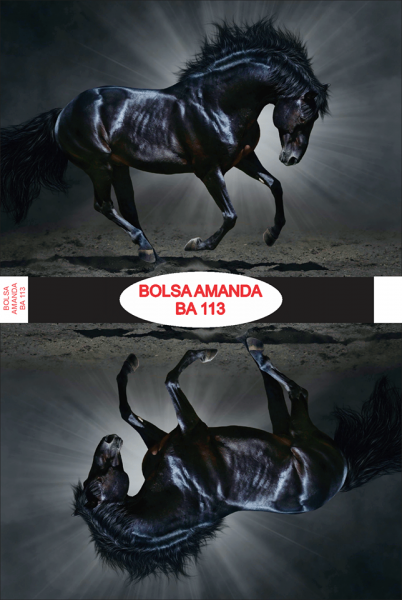 Bolsa Amanda BA 113