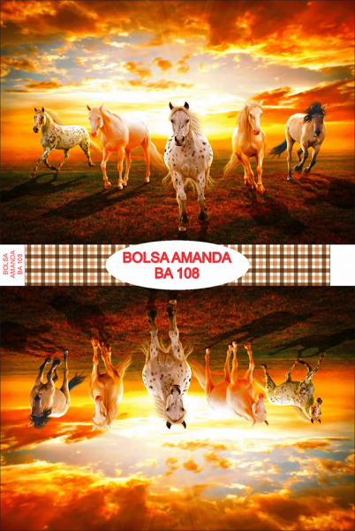 Bolsa Amanda BA 108