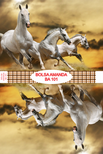 Bolsa Amanda BA 101