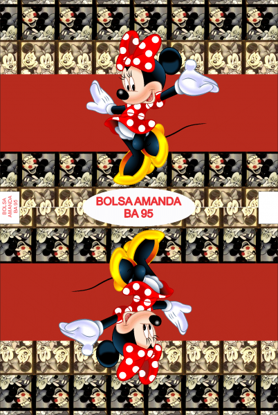 Bolsa Amanda BA 95