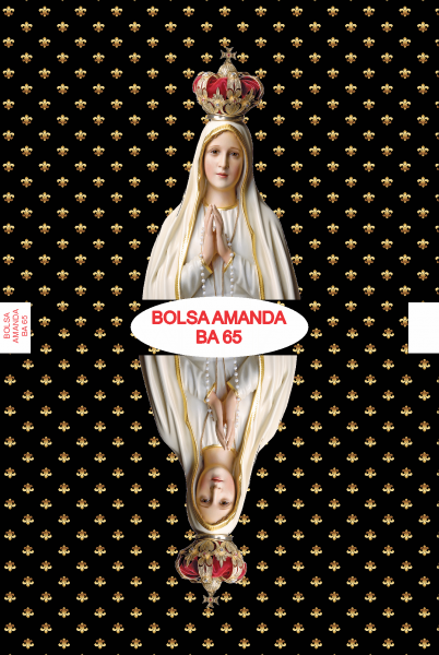 Bolsa Amanda BA 65