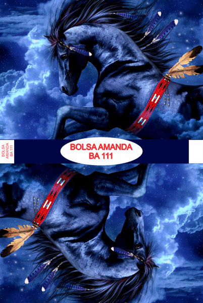 Bolsa Amanda BA 111