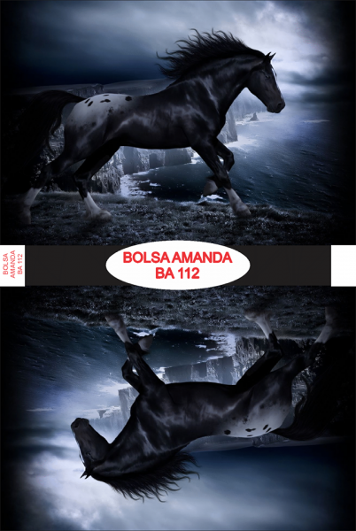 Bolsa Amanda BA 112