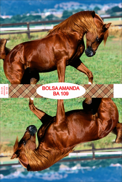 Bolsa Amanda BA 109